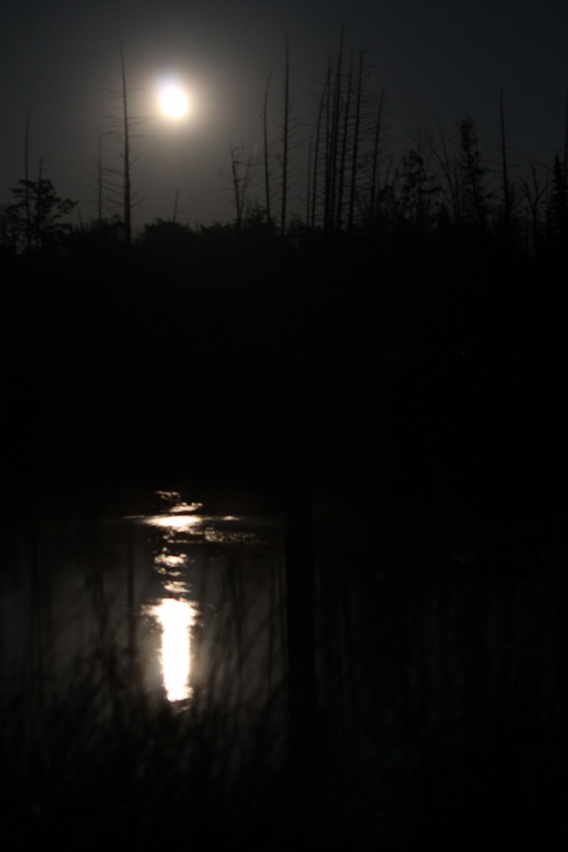 Moon over Shalda Creek